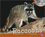 Raccoons