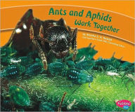 Ants and Aphids Work Together
