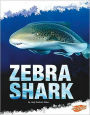 Zebra Shark