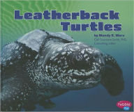 Leatherback Turtles
