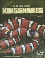 Kingsnakes