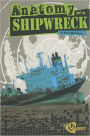 Anatomy of a Shipwreck