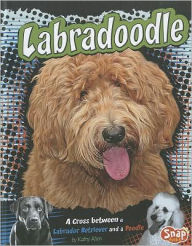 Title: Labradoodle: A Cross Between a Labrador Retriever and a Poodle, Author: Kathy Allen
