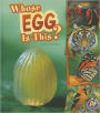Whose Egg Is This?