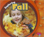 Exploring Fall