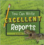 You Can Write Excellent Reports