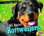 All about Rottweilers