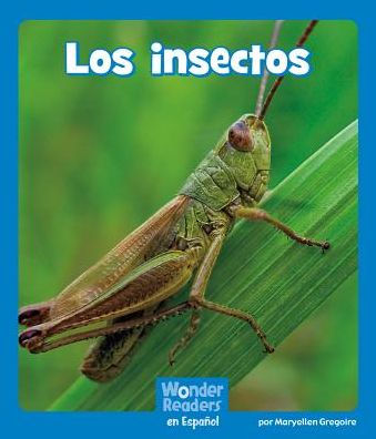 Los insectos