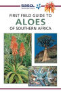 First Field Guide to Aloes of Southern Africa