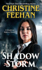 Shadow Storm (Shadow Riders Series #6)