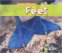 Feet