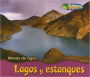 Lagos y Estanques
