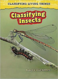 Classifying Insects