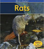 Rats