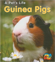 Guinea Pigs
