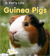 Guinea Pigs