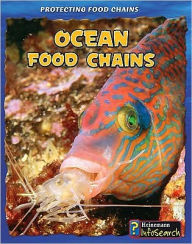 Ocean Food Chains