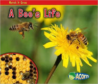 A Bee's Life