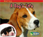 A Dog's Life