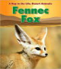 Fennec Fox