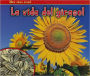 La vida del girasol