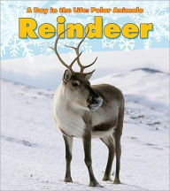 Title: Reindeer, Author: Katie Marsico