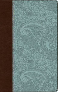 ESV UltraThin Bible (TruTone, Chocolate/Blue, Garden Design)