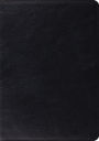 ESV Archaeology Study Bible (Black)