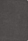 ESV Student Study Bible (TruTone, Gray)