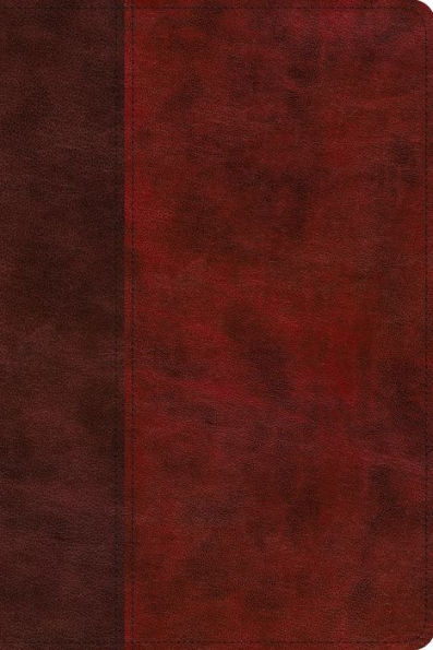 ESV Story of Redemption Bible: A Journey through the Unfolding Promises of God (TruTone, Burgundy/Red, Timeless Design): A Journey through the Unfolding Promises of God
