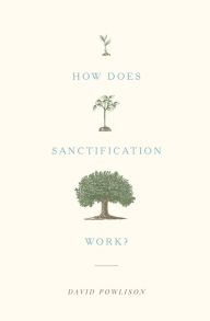 Title: How Does Sanctification Work?, Author: David Powlison