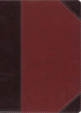ESV MacArthur Study Bible (TruTone, Brown/Cordovan, Portfolio Design)