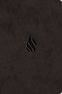 ESV Value Compact Bible (TruTone, Midnight, Flame Design)