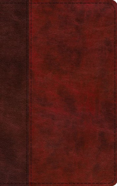 Esv Study Bible Large Print Red Letter Edition