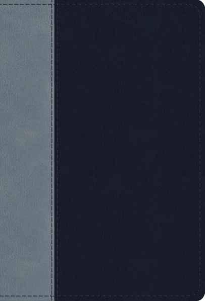 ESV Student Study Bible (TruTone, Navy/Slate, Timeless Design)