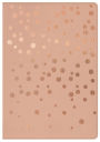KJV Compact UltraThin Bible for Teens, Rose Gold