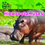 Hippopotamuses