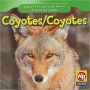 Coyotes