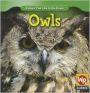 Owls