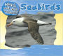Sea Birds