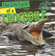 The Life Cycle of a Crocodile