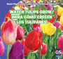 Watch Tulips Grow / Mira como crecen los tulipanes!