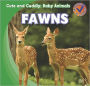Fawns