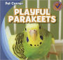 Playful Parakeets
