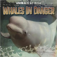 Title: Whales in Danger, Author: Michael Portman