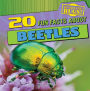 20 Fun Facts About Beetles