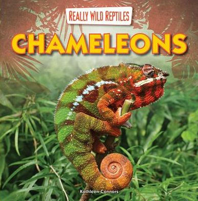 Chameleons