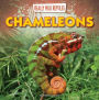 Chameleons