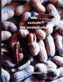 Life outside the peanut Shell