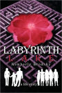 Labyrinth Lake: A Life Story